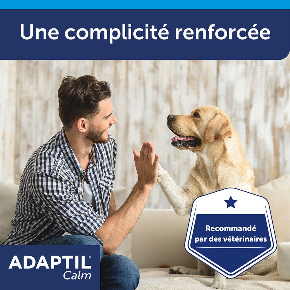 Adaptil Calm: aanbevolen door dierenartsen, voor versterkte harmonie.