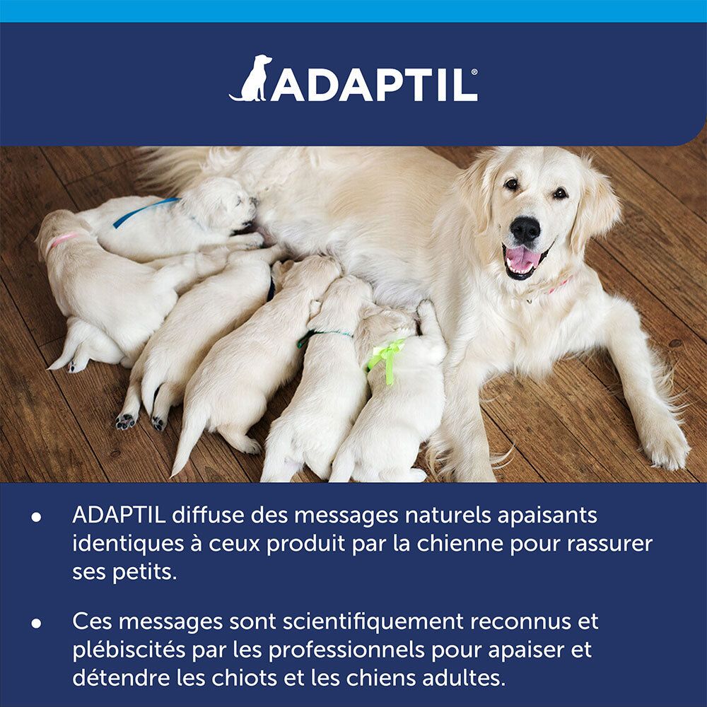 Adaptil Calm verpakking. Achterkant met informatie. Wetenschappelijk bewezen. Voor honden in stressvolle situaties.