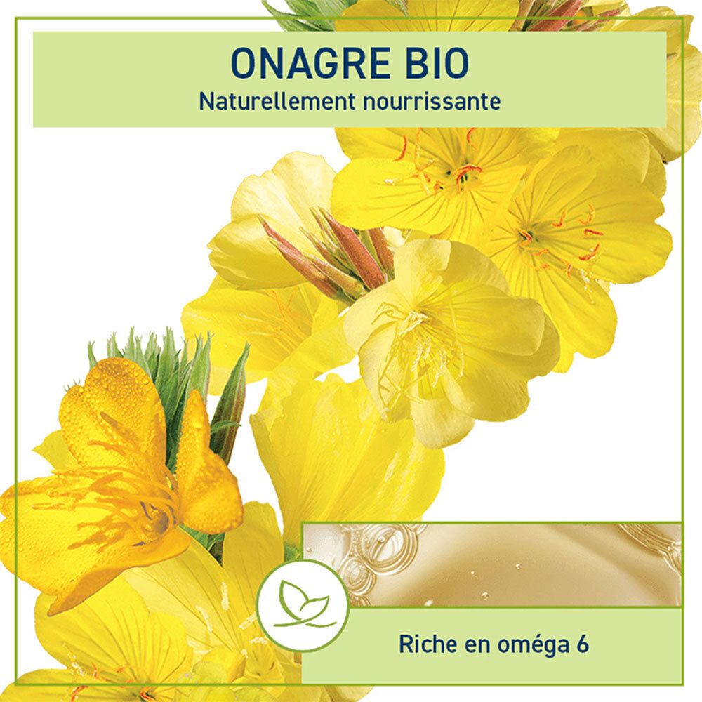 Gros plan sur des fleurs de onagre jaunes et informations produit Onagre Bio. Étiquette verte.