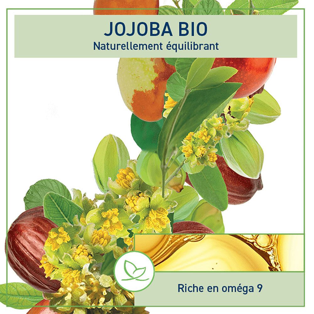 Afbeelding met jojoba-plant, vruchten en bloemen. Tekst: Jojoba Bio, natuurlijk balancerend, rijk aan omega 9. Groen logo.