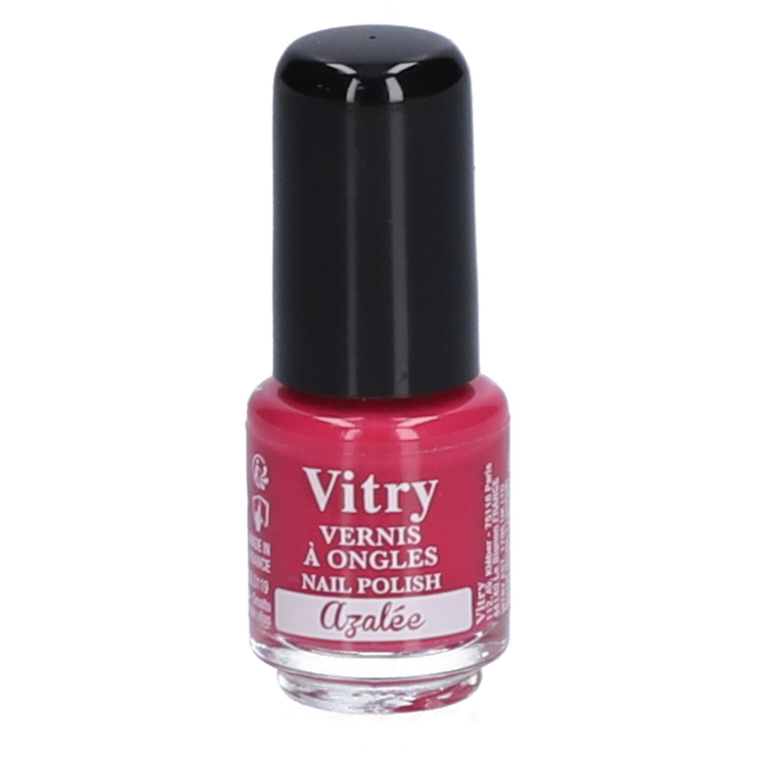 Vitry Mini Azalea