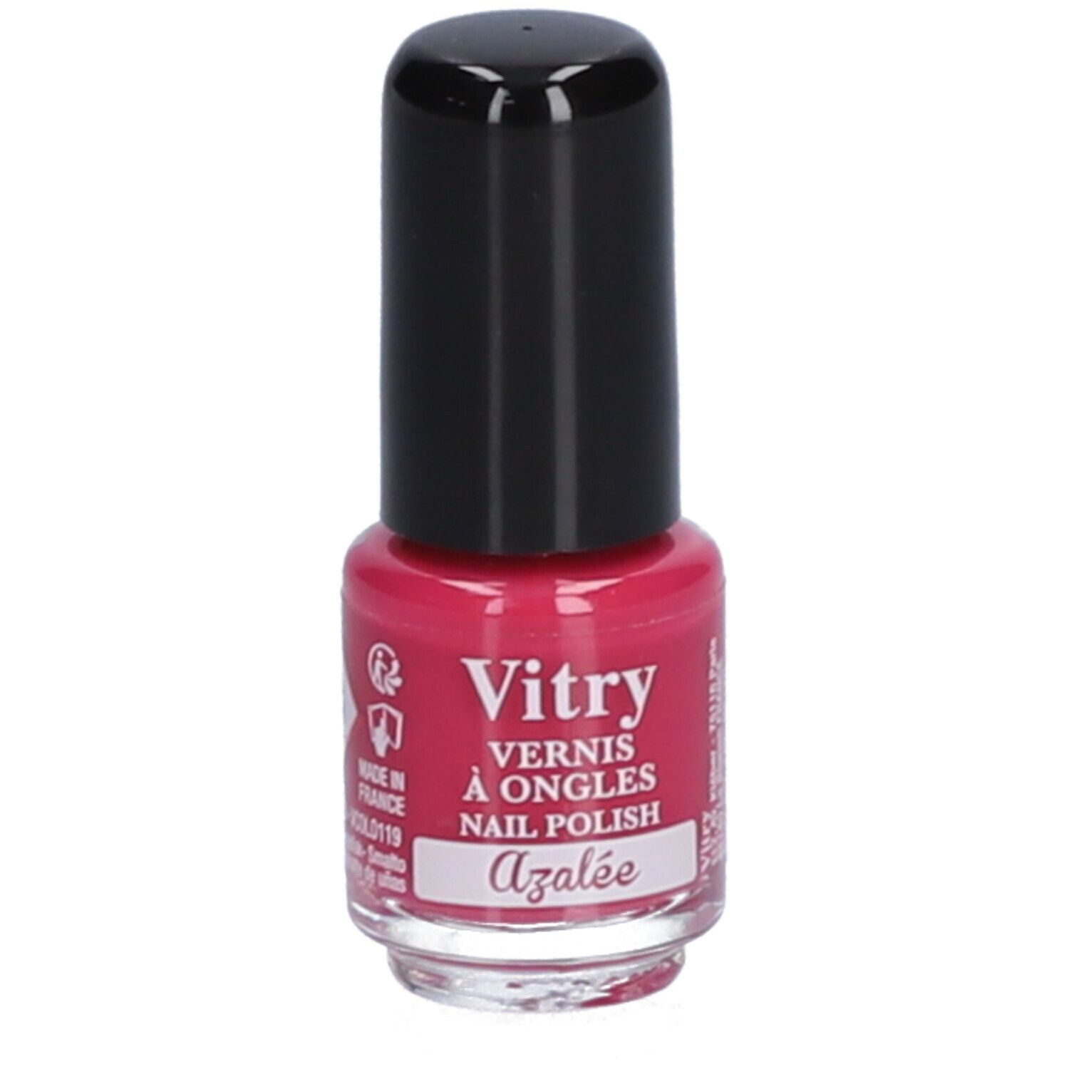 Vitry Mini Azalea