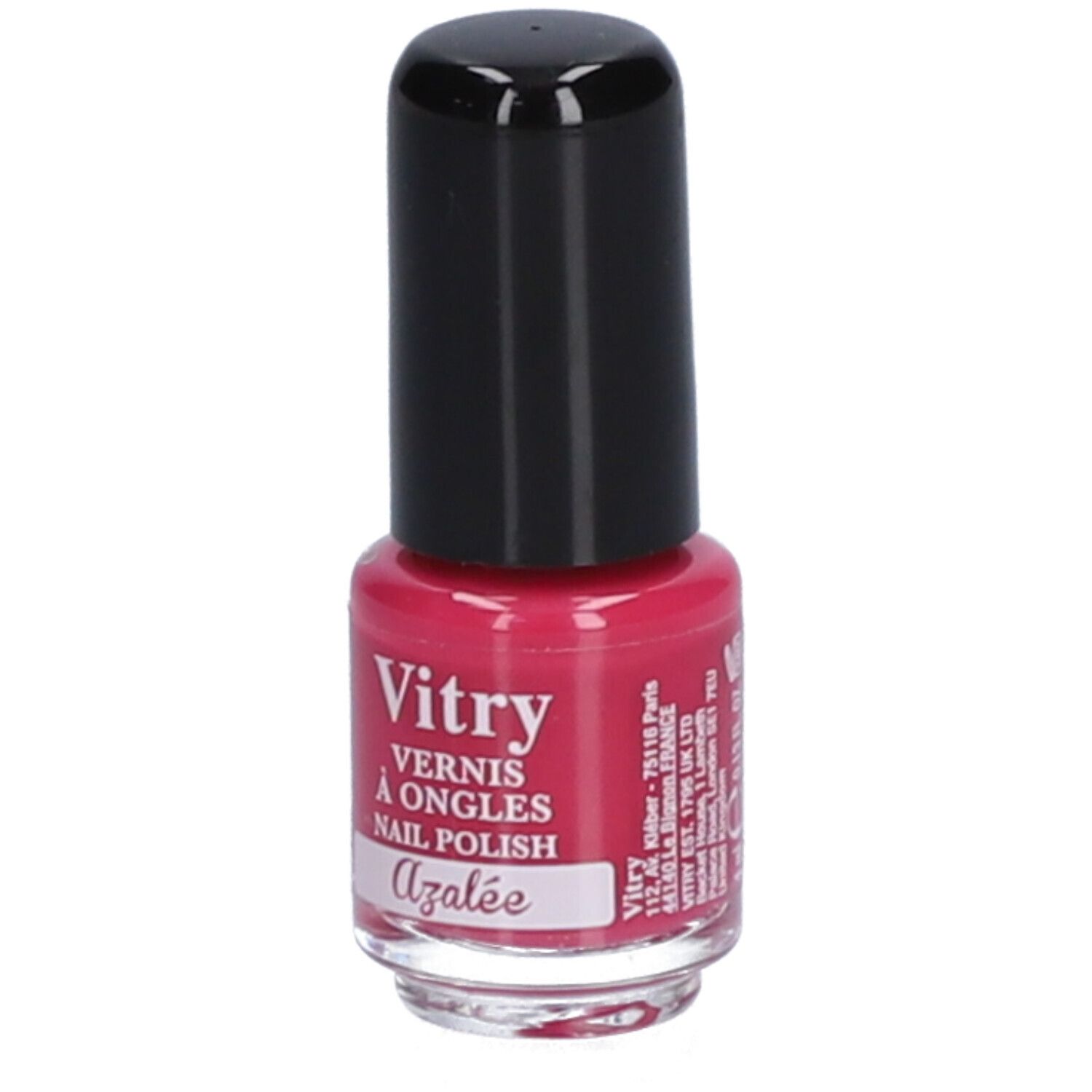 Vitry Mini Azalea
