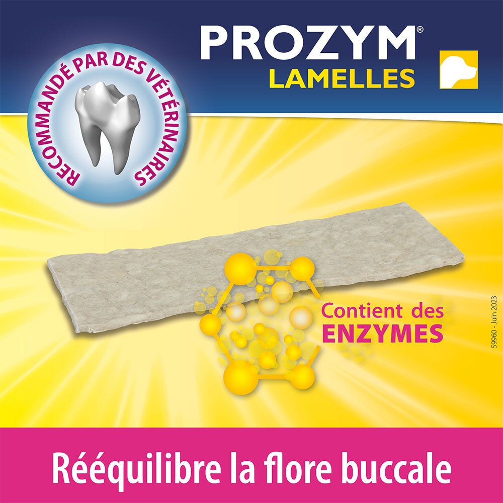 Prozym Lamelles. Une lamelle et des molécules jaunes. Texte : Contient des enzymes. Recommandé par les vétérinaires. Rééquilibre la flore buccale.