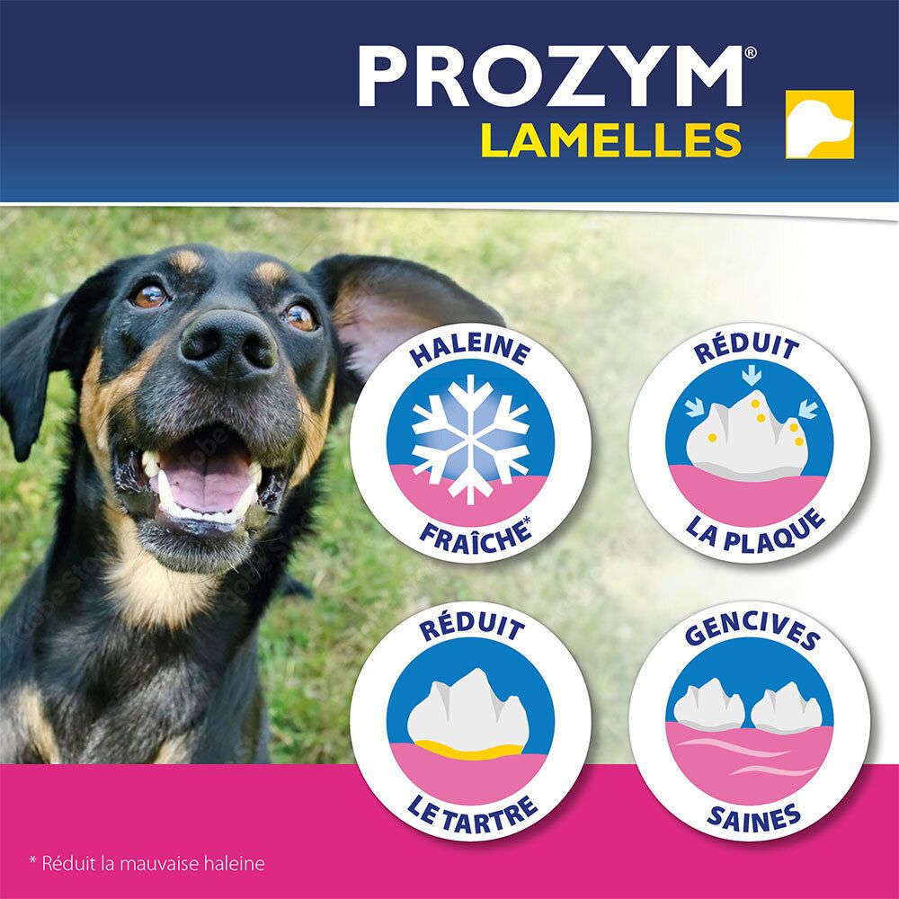 Chien avec texte : Haleine fraîche, réduit la plaque, réduit le tartre, gencives saines. Prozym Lamelles.
