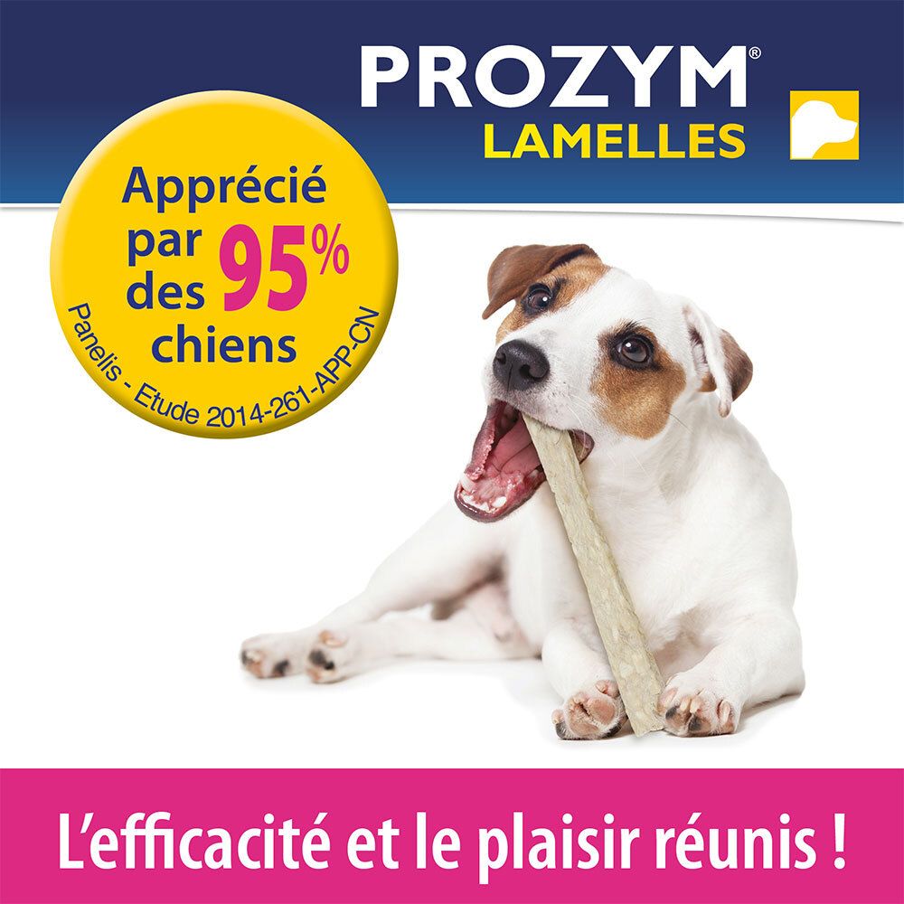 Prozym Lamelles. Un chien mâche une lamelle. Texte : Approuvé par 95% des chiens. L'efficacité et le plaisir réunis !