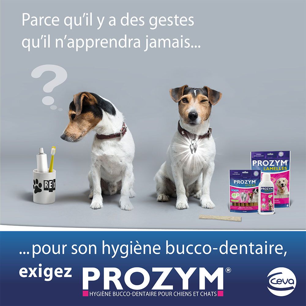 Deux chiens avec un point d'interrogation. Paquets de produits Prozym. Texte : ...pour son hygiène bucco-dentaire, exigez Prozym.