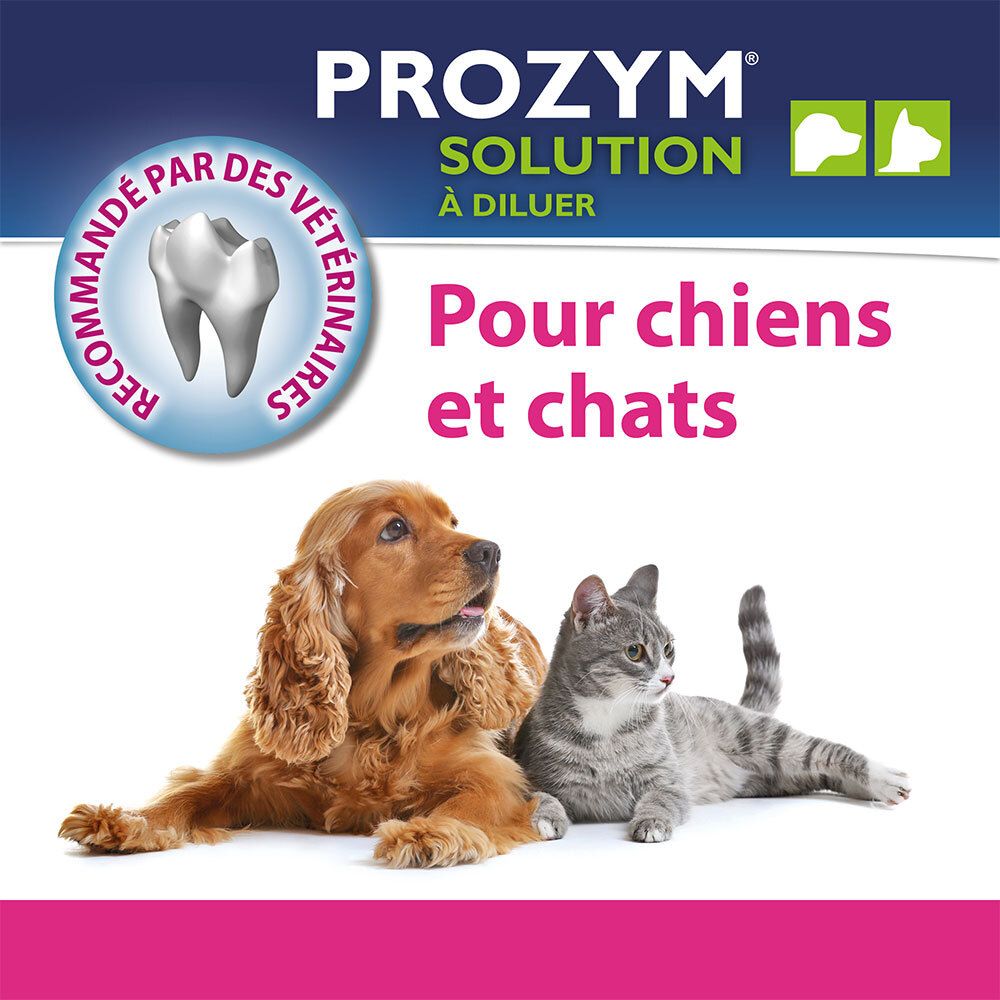 Hond en kat. Tekst: Voor honden en katten. Logo: tand. Productnaam: PROZYM SOLUTION À DILUER.