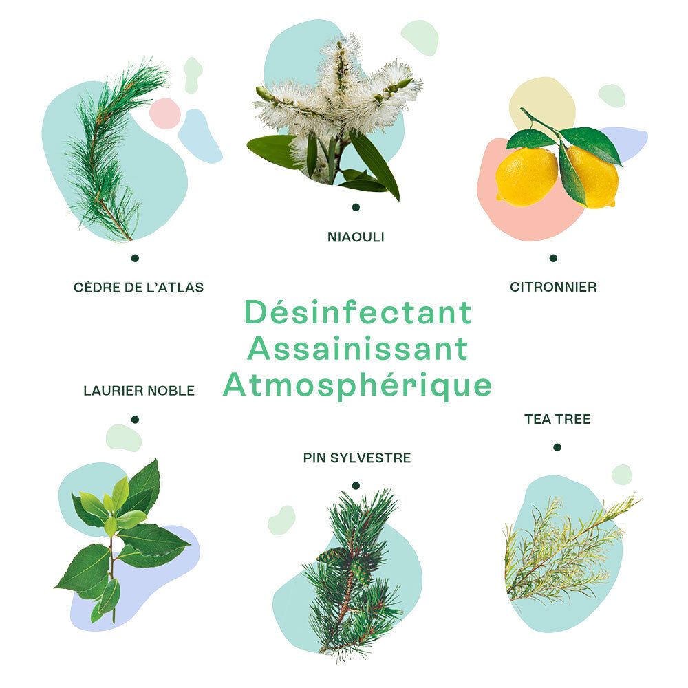 Infographie. 7 plantes illustrées. Texte: Désinfectant Assainissant Atmosphérique. Images de plantes et fruits.