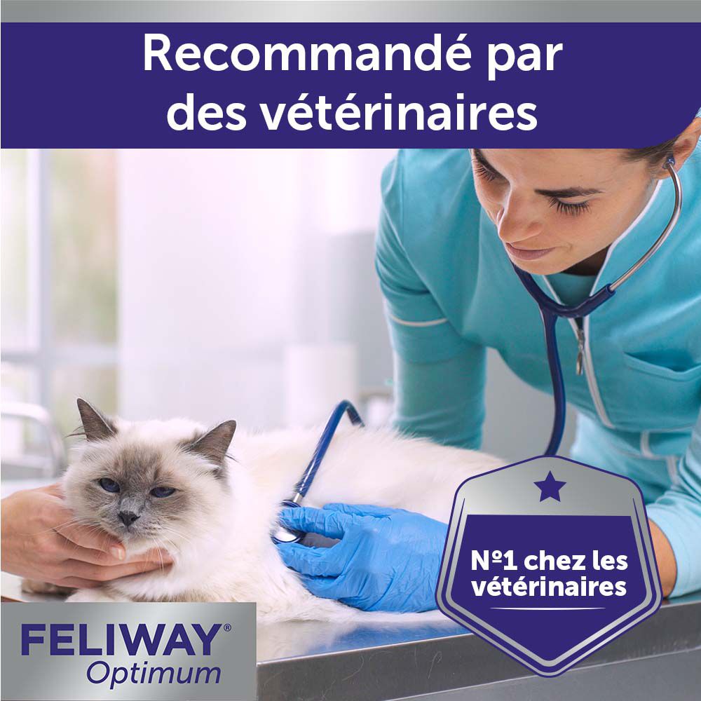 Dierenarts onderzoekt kat. Tekst: Aanbevolen door dierenartsen. Nr. 1 bij dierenartsen. Feliway Optimum logo.