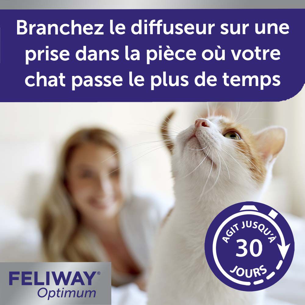 Kat kijkt omhoog. Tekst: Werkt tot 30 dagen. Feliway Optimum logo. Vrouw op de achtergrond.