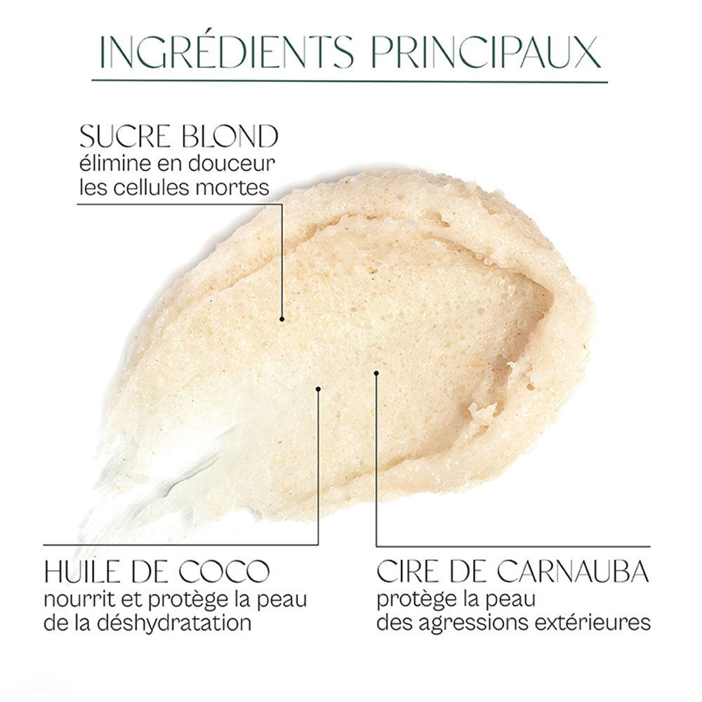 Gros plan de crème. Texte avec ingrédients: sucre, huile de coco, cire de carnauba. Nom du produit: Gommage hydratant corps.