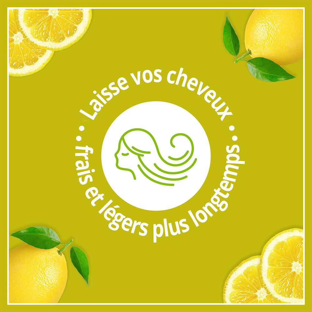 Le Petit Marseillais Zuiverende Shampoo - Biologisch Brandnetelblad en Citroen