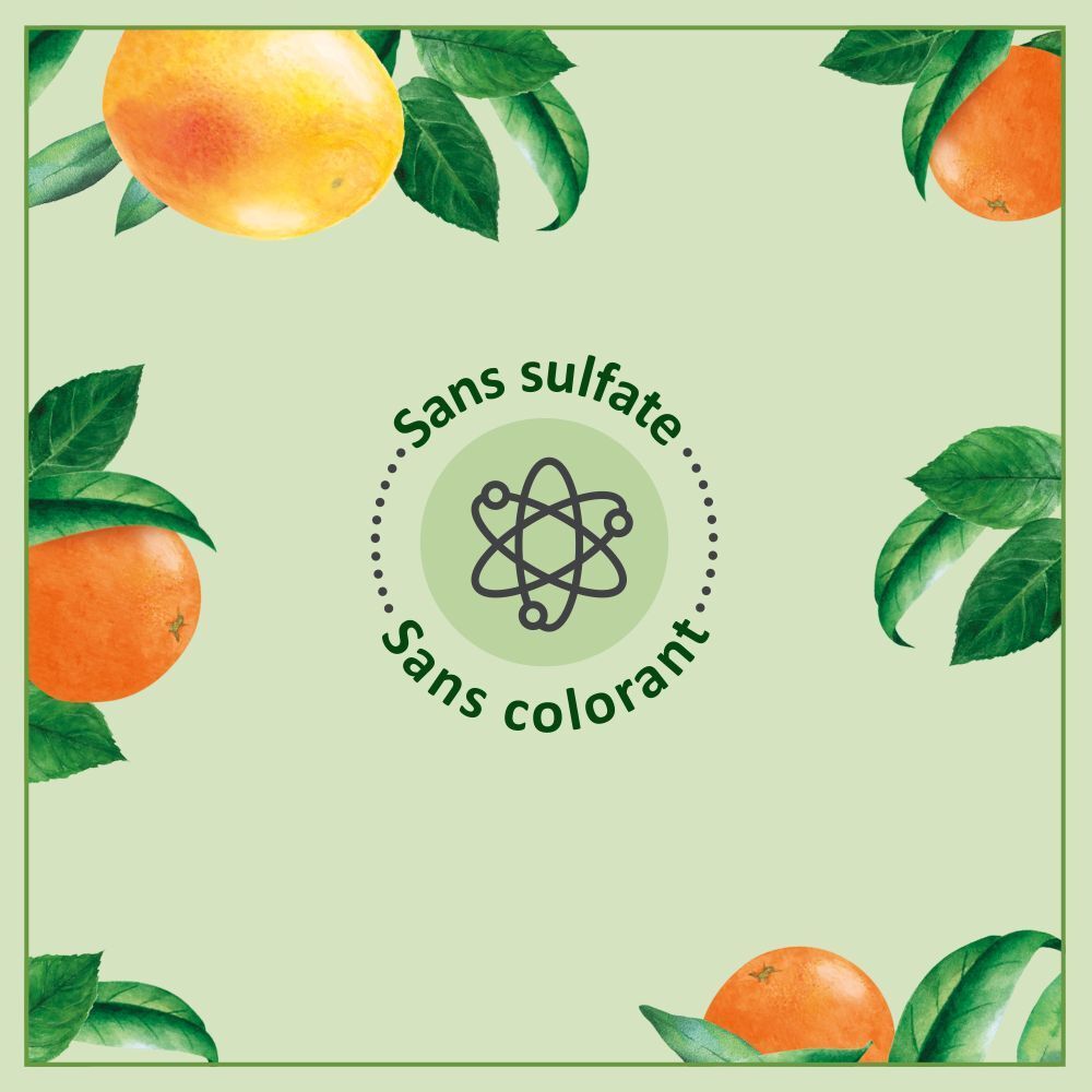 Le Petit Marseillais Berlingot Navulling Energetiserende Biologische Douchegel - Sinaasappel Grapefruit