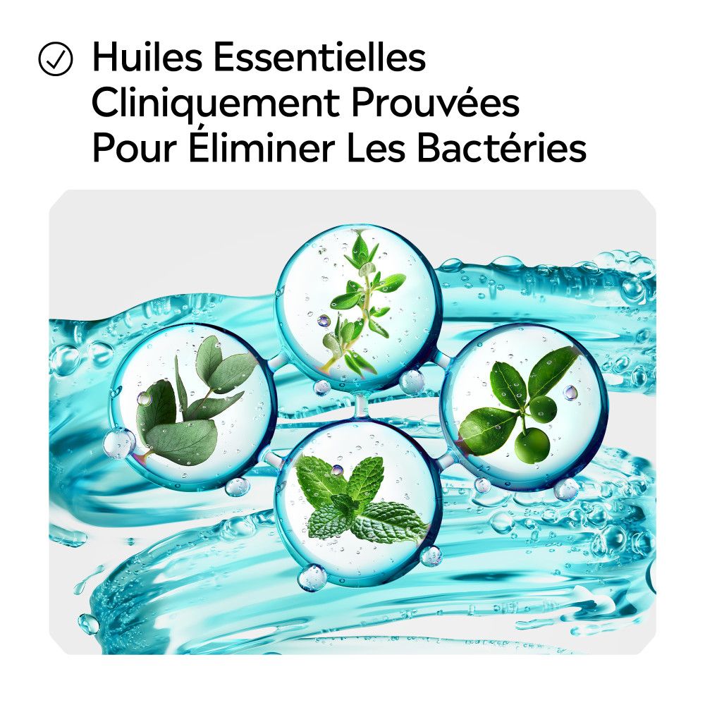 Illustratie van vier planten in water. Tekst: "Huiles Essentielles Cliniquement Prouvées Pour Éliminer Les Bactéries".