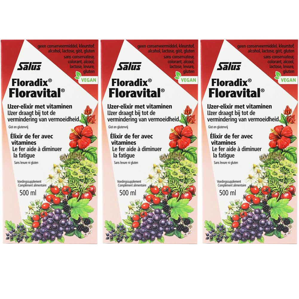 Trois boîtes de Floradix Floravital. Emballage rouge et blanc avec nom du produit et illustrations florales. Label végan.