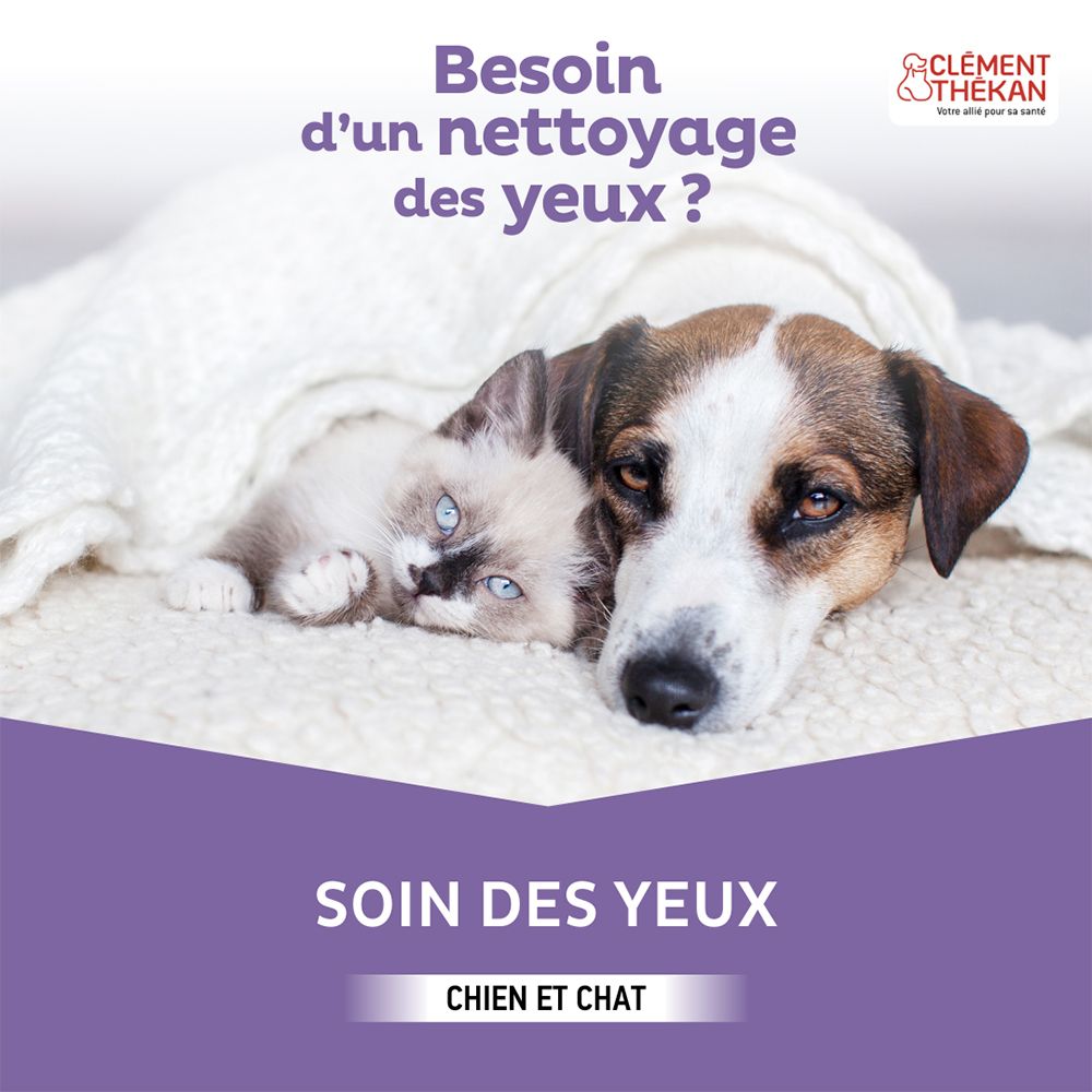 Chien et chat sous une couverture. Texte : "SOIN DES YEUX", "CHIEN ET CHAT".