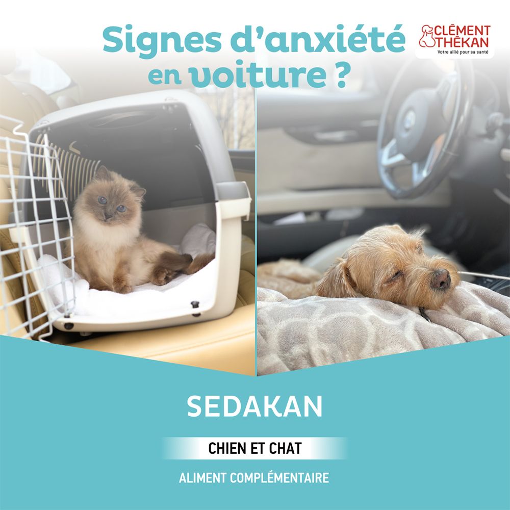 Reclame voor Sedakan. Kat in transportbox, hond in auto. Tekst: Tekenen van angst in de auto? Sedakan.