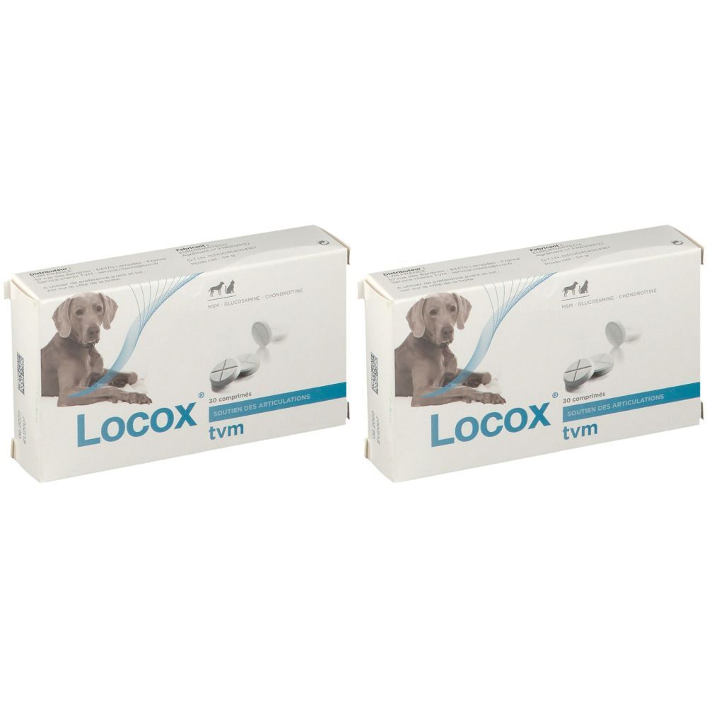 LOCOX TVM Chien & Chat x2