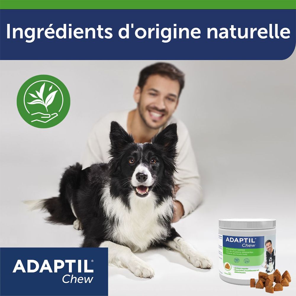 Homme avec chien et pot Adaptil Chew. Texte: Ingrédients d'origine naturelle. Logo Adaptil Chew.