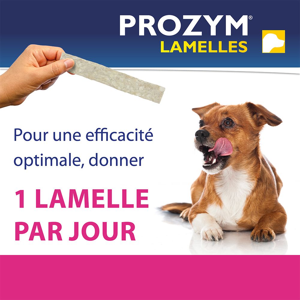 Hand houdt een lamel vast. Hond likt zijn lippen. Tekst: 1 lamel per dag. Voor optimale doeltreffendheid.