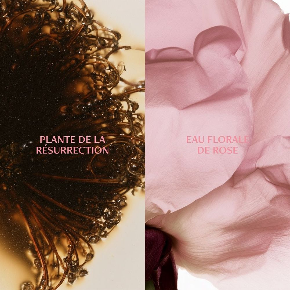 Een collage van een plant en een roze bloemblaadstructuur.