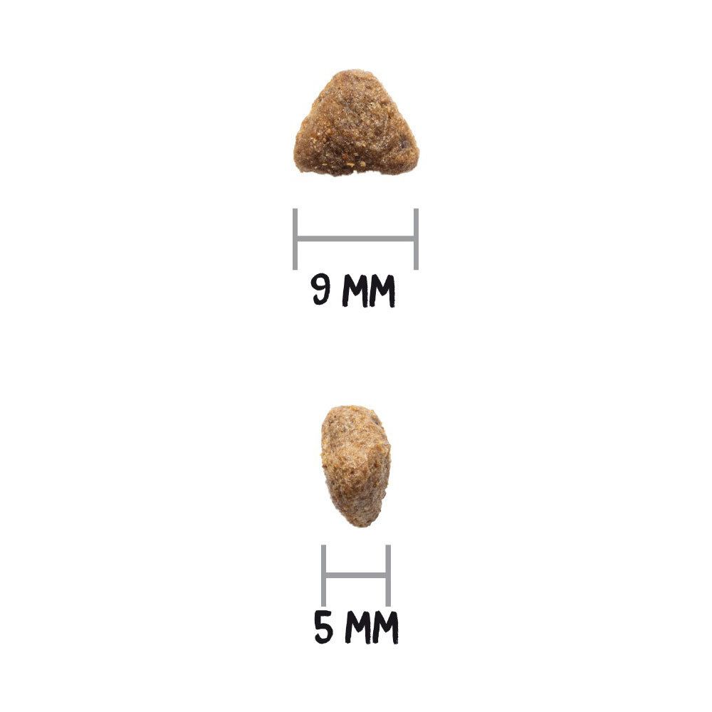 Twee brokjes. Boven: 9 mm. Onder: 5 mm. Op witte achtergrond.