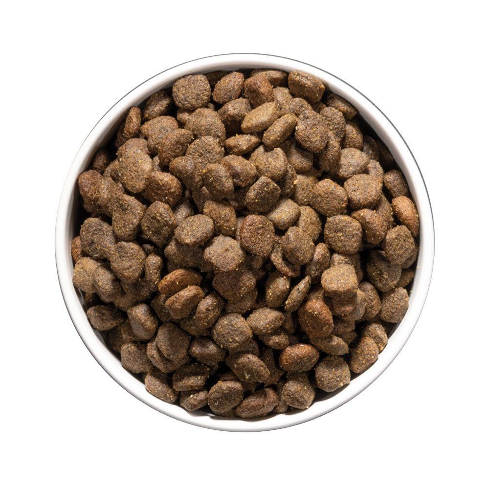 Vue de dessus d'un bol rempli de croquettes rondes et brunes. La nourriture est destinée aux chats.