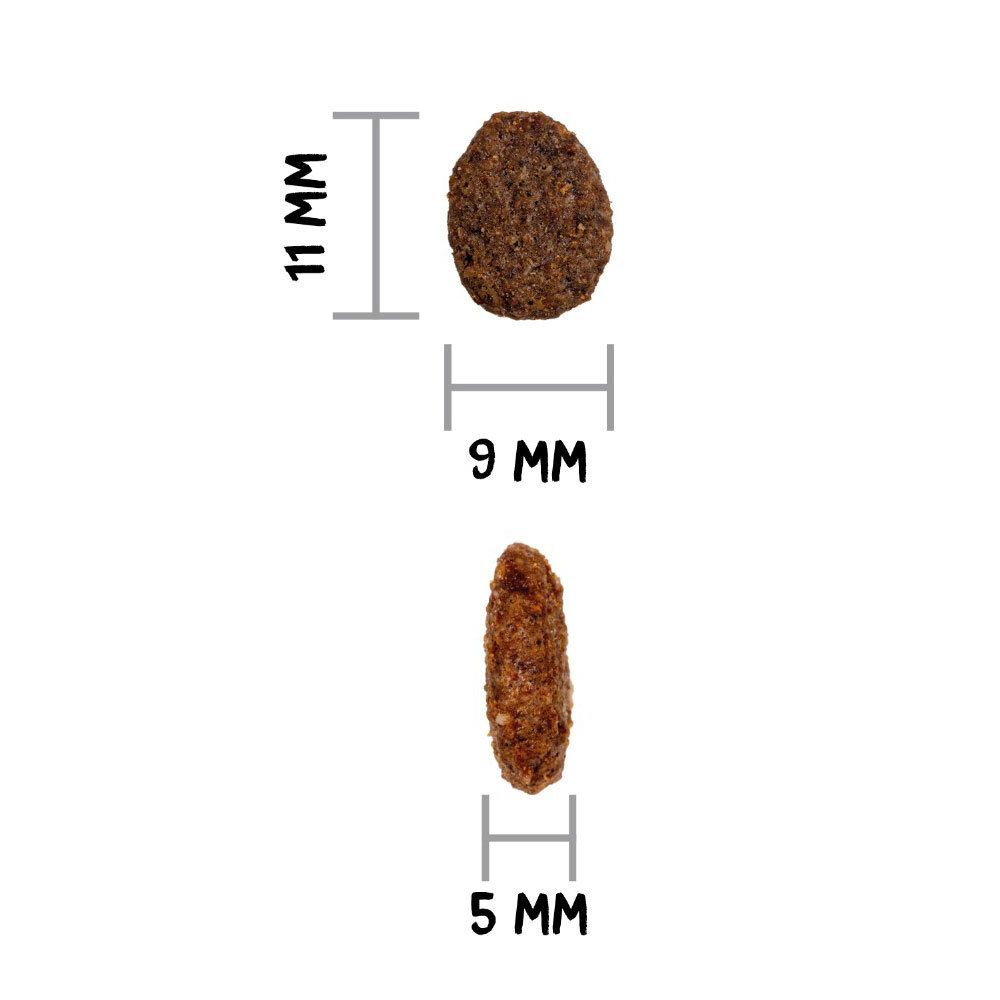 Gros plan sur deux croquettes. Dimensions : 11 mm x 9 mm et 5 mm. La nourriture est pour chats.