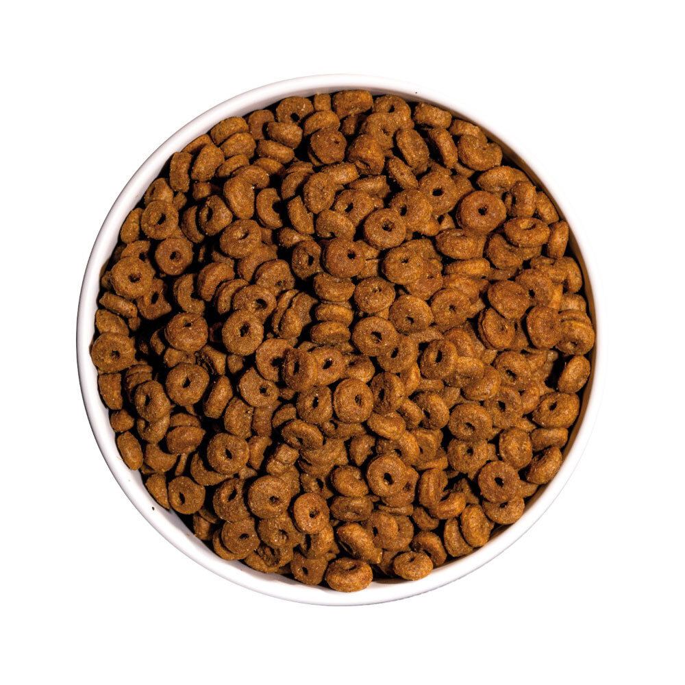 Vue de dessus d'un bol de croquettes pour chats en forme d'anneau. Croquettes brunes.