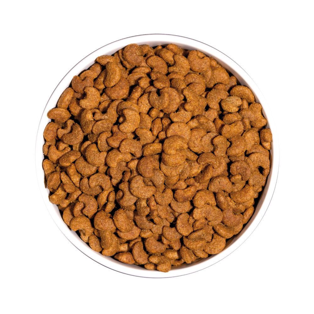 Ronde, witte kom gevuld met bruine, halvemaanvormige brokjes. Bovenaanzicht.