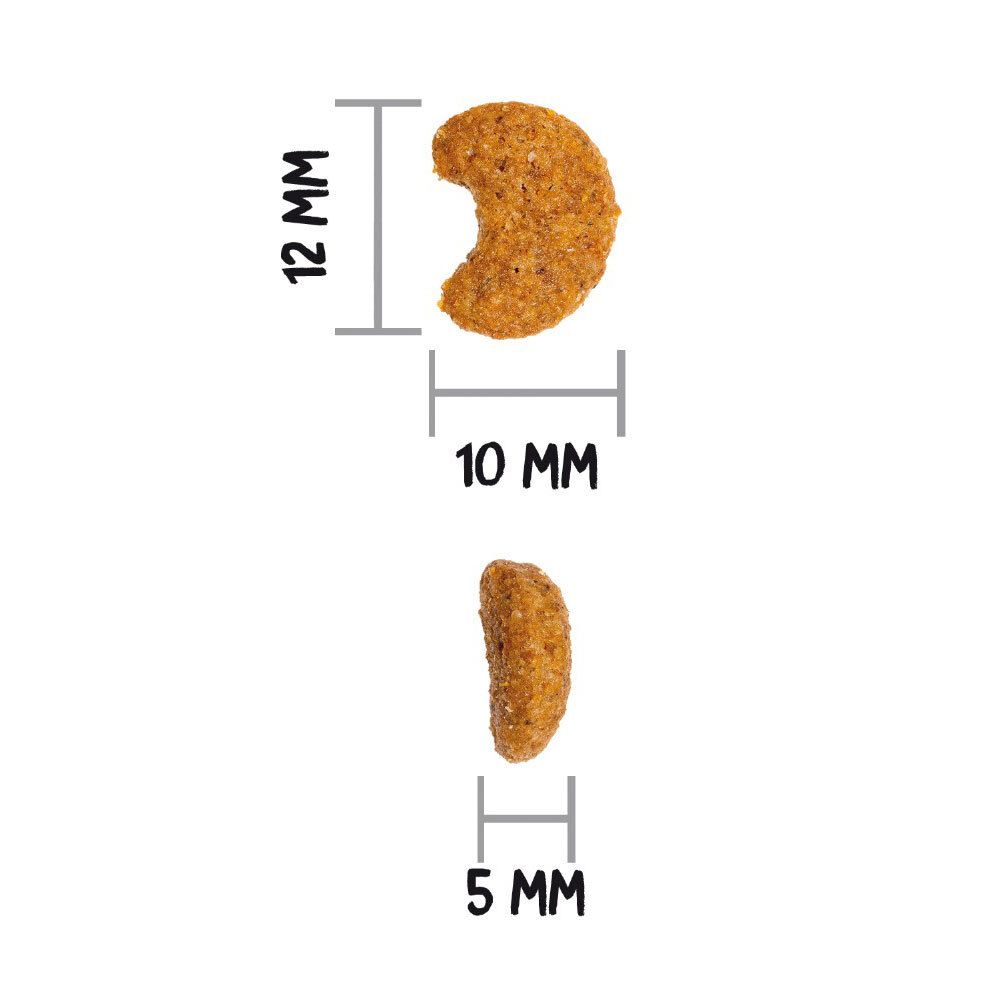 Twee brokjes. Afmetingen: 12 mm hoog, 10 mm breed, 5 mm dik. Bruine, halvemaanvormige vorm.