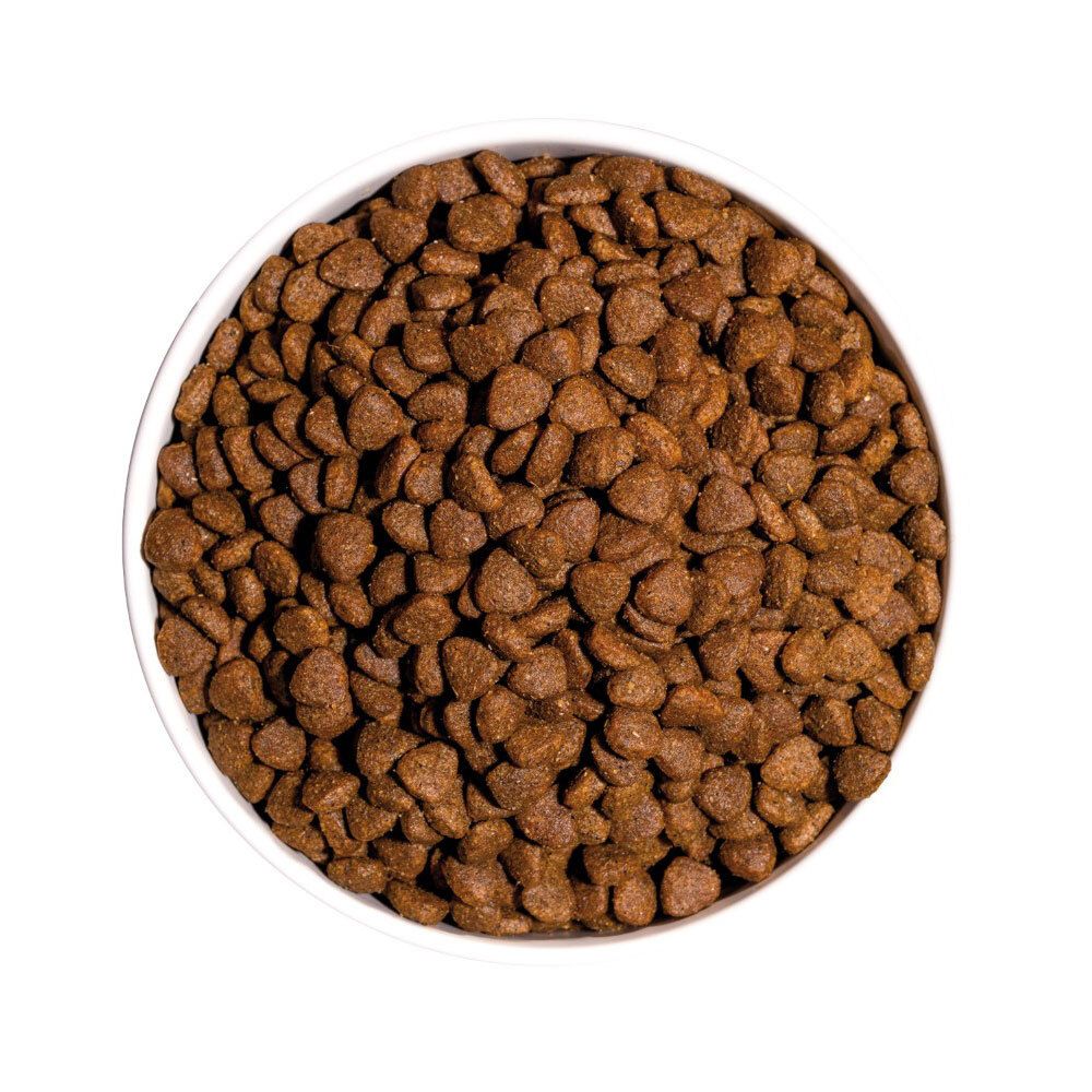 Croquettes rondes et marron dans un bol blanc. Vue de dessus. Nourriture pour chat.