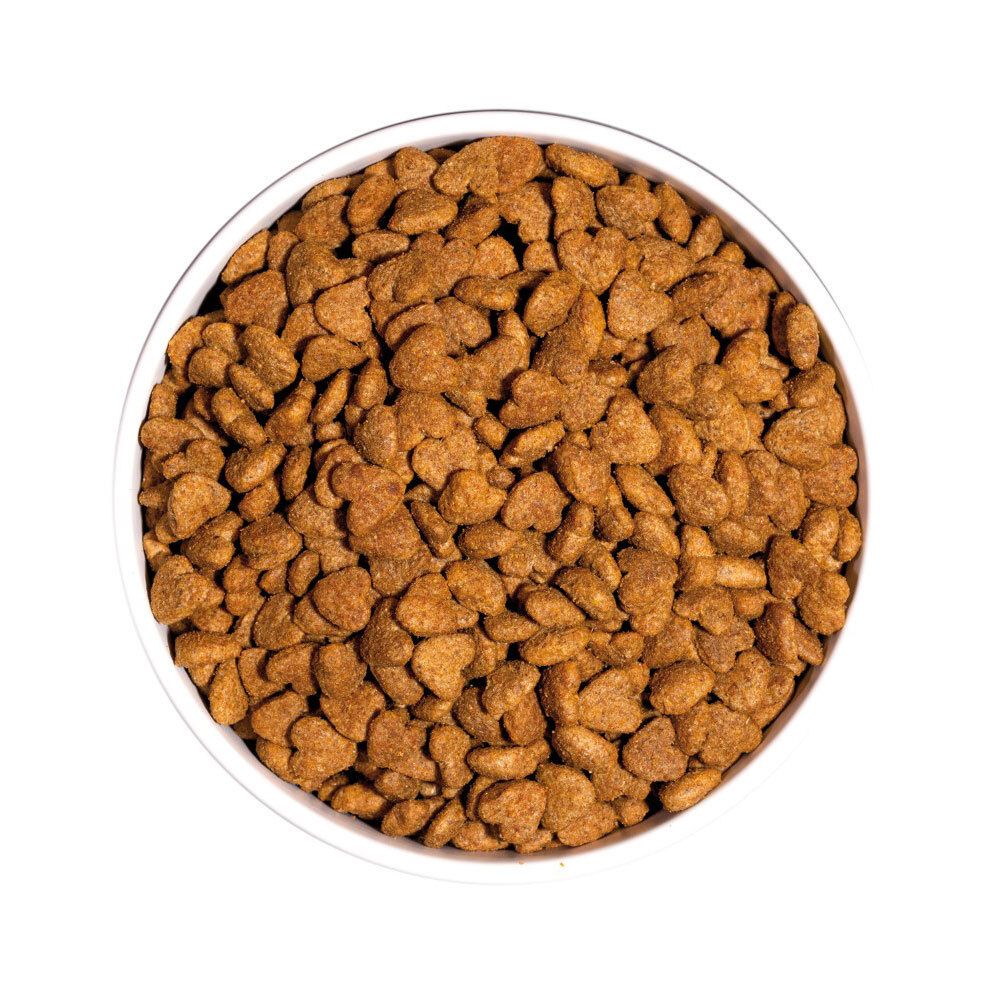 Vue de dessus d'un bol rempli de croquettes sèches marron et rondes.