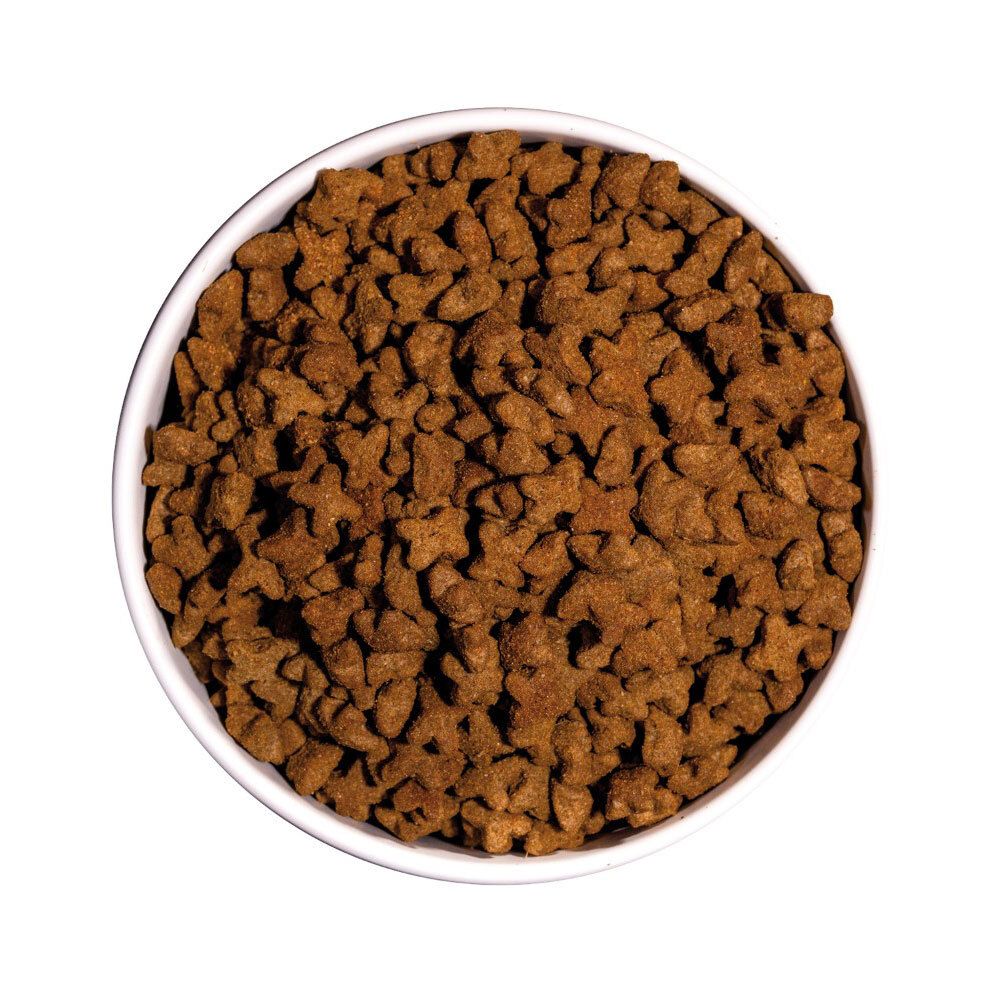 Een kom gevuld met bruine, onregelmatig gevormde brokjes droogvoer voor katten.