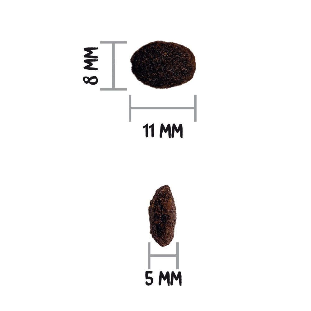 Close-up van brokjes. Boven: 11mm x 8mm. Onder: 5mm. Bruine kleur.
