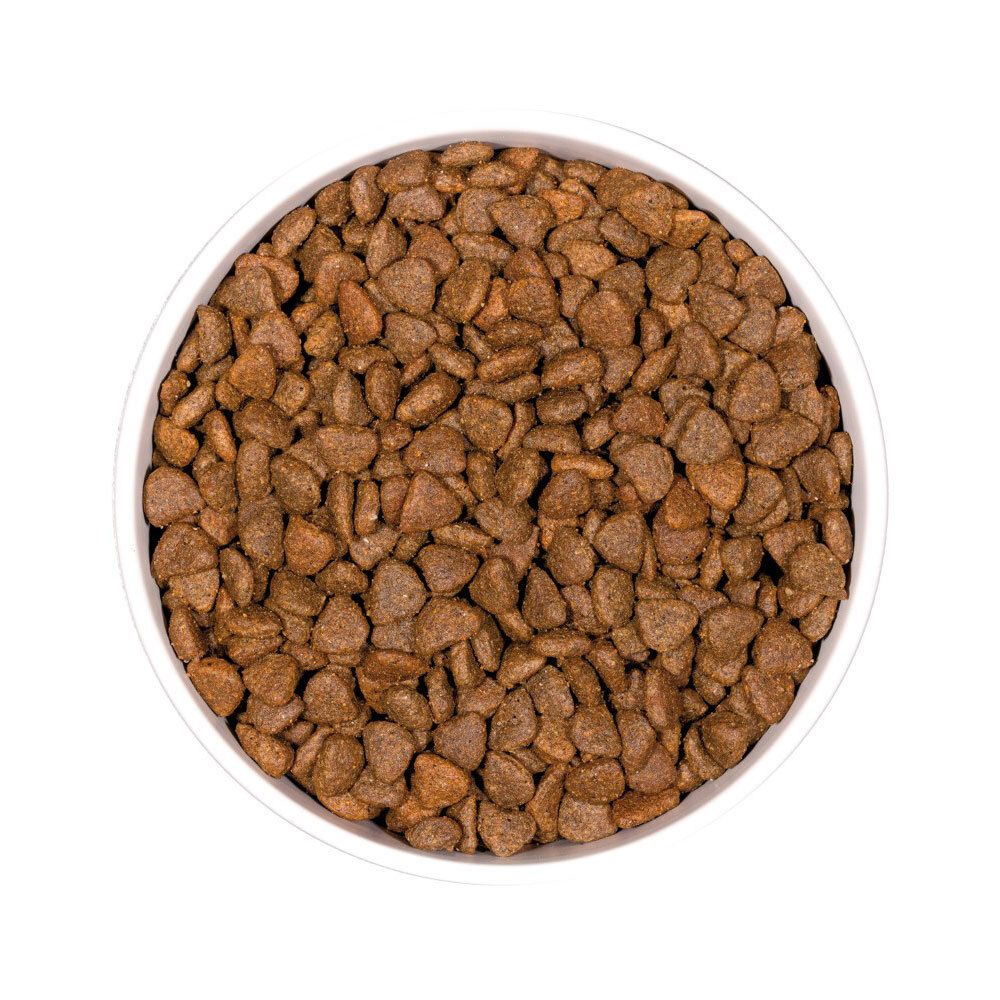 Gros plan sur des croquettes sèches rondes et brunes dans un bol blanc. Vue de dessus.