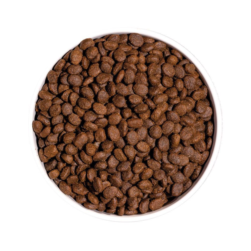 Ronde kom gevuld met bruine, ovale brokjes. Bovenaanzicht, witte achtergrond.