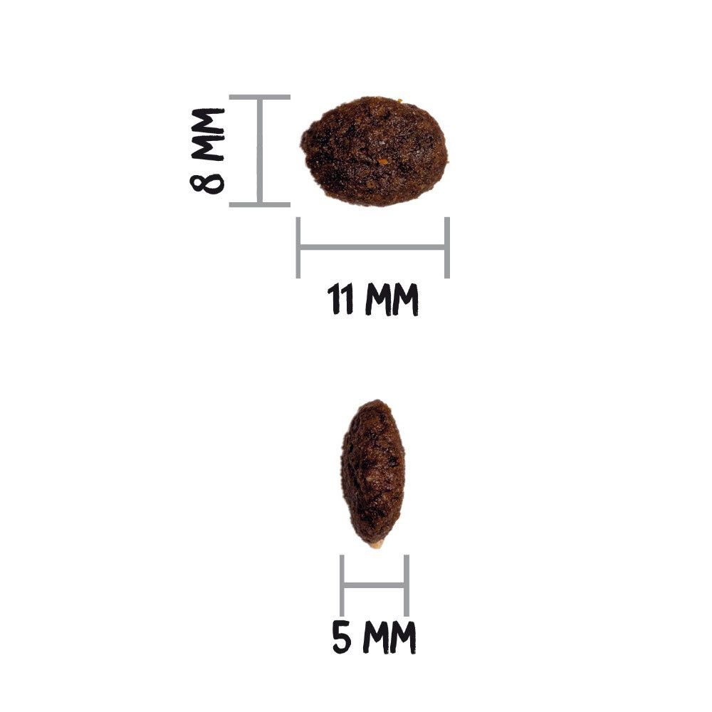 Twee brokjes met afmetingen: 11 mm x 8 mm. Eén brokje: 5 mm. Witte achtergrond.