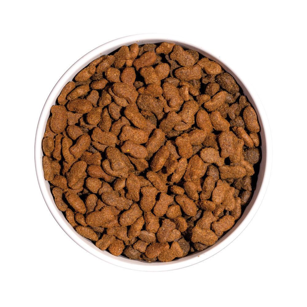 Close-up van bruine, graanvrije kattenbrokjes in een witte kom. Bovenaanzicht.