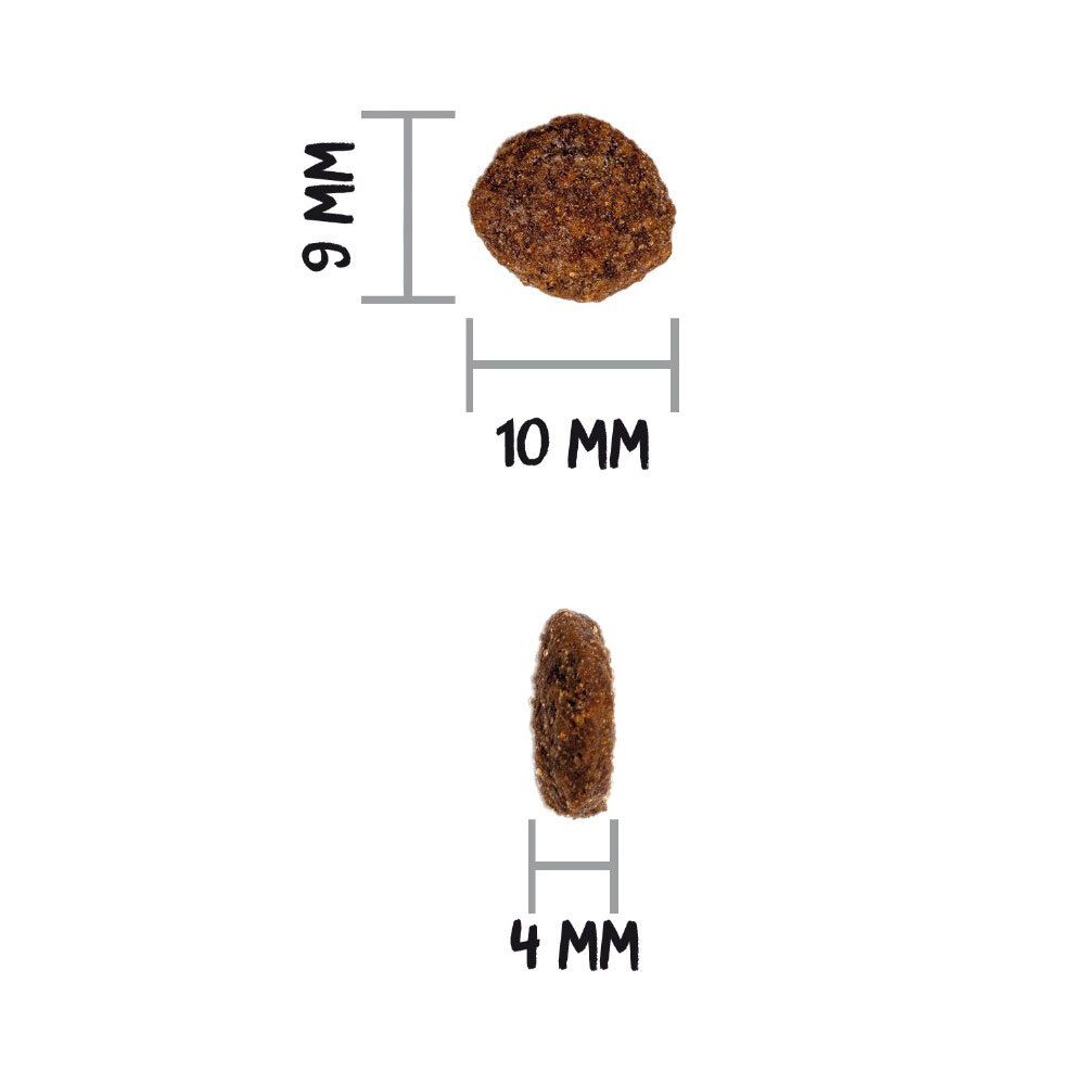 Close-up van brokjes met afmetingen. Diameter 9-10 mm, dikte 4 mm.