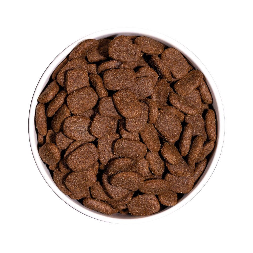 Close-up van bruine, ovale hondenbrokken in een witte kom. Bovenaanzicht.