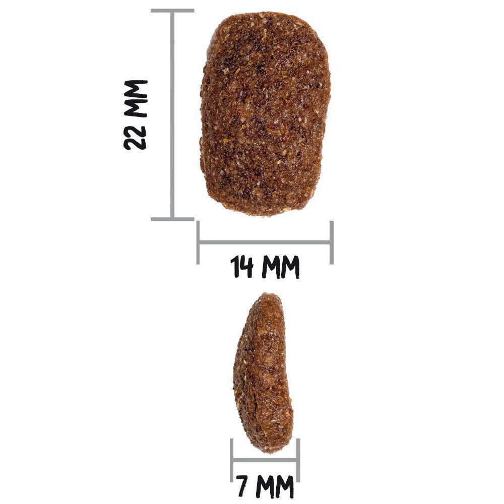 Close-up van een hondenbrok. Afmetingen: 22 mm x 14 mm x 7 mm.