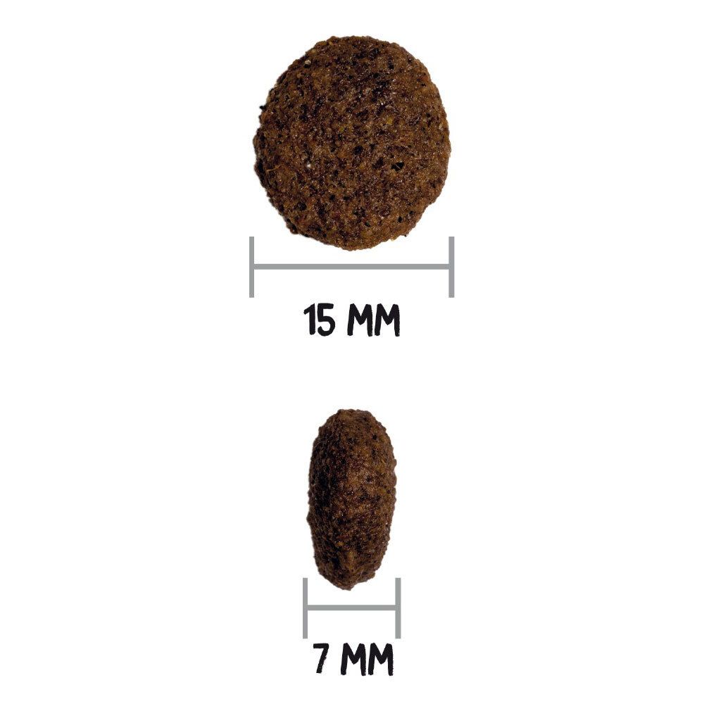 Twee hondenbrokken. Boven: 15 mm diameter. Onder: 7 mm dik. Beide brokken zijn bruin en rond.