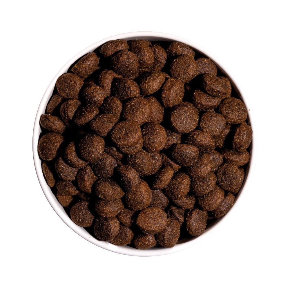 Close-up van bruine, ronde hondenbrokken in een witte kom. De brokken worden van bovenaf bekeken.