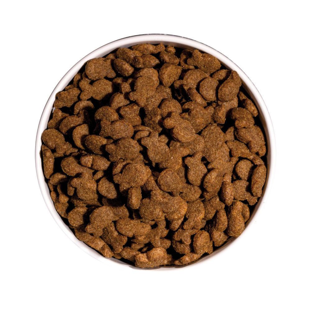 Bovenaanzicht van bruine, visvormige hondenbrokken in een witte kom. Zonder achtergrond.