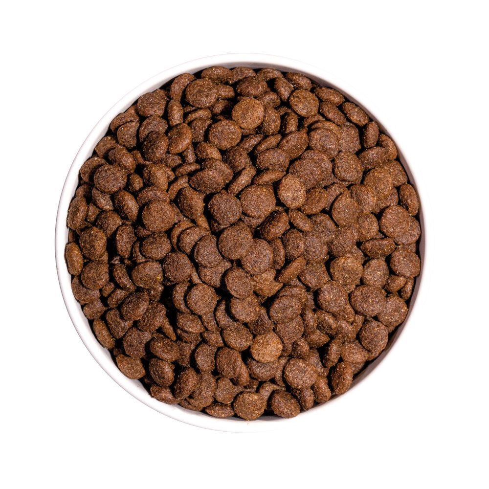 Bruine, ronde hondenbrokken in een witte kom. Bovenaanzicht, de brokken zijn dicht opeengepakt.