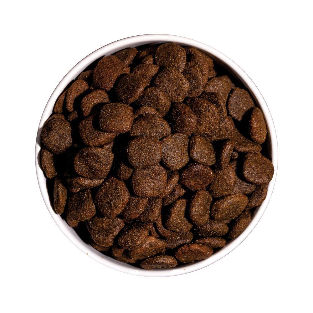Hondenvoer in een kom. Ronde, bruine brokjes. Bovenaanzicht.