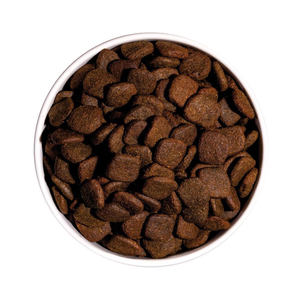 Croquettes pour chiens dans un bol blanc. Croquettes marron de forme irrégulière, vue de dessus.