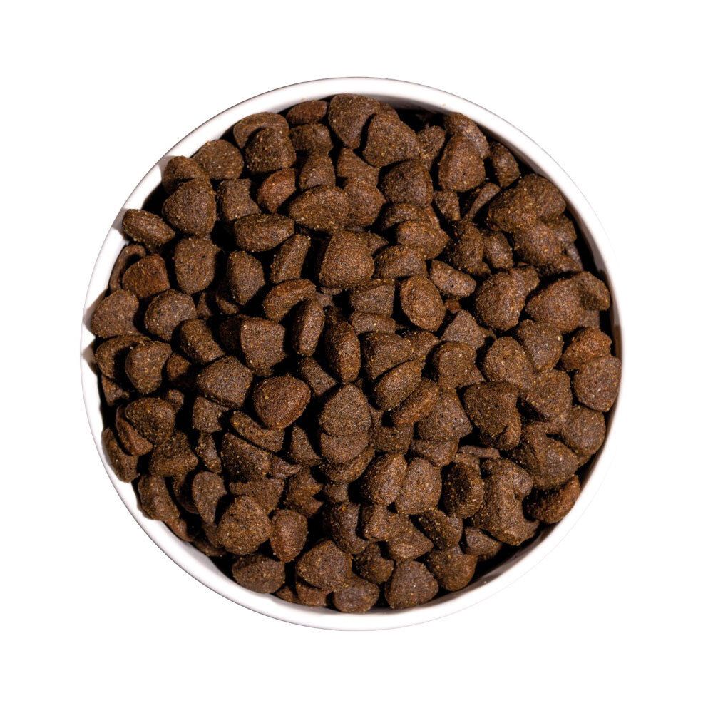 Hondenvoer in een witte kom. De brokjes zijn bruin en hebben een onregelmatige vorm.